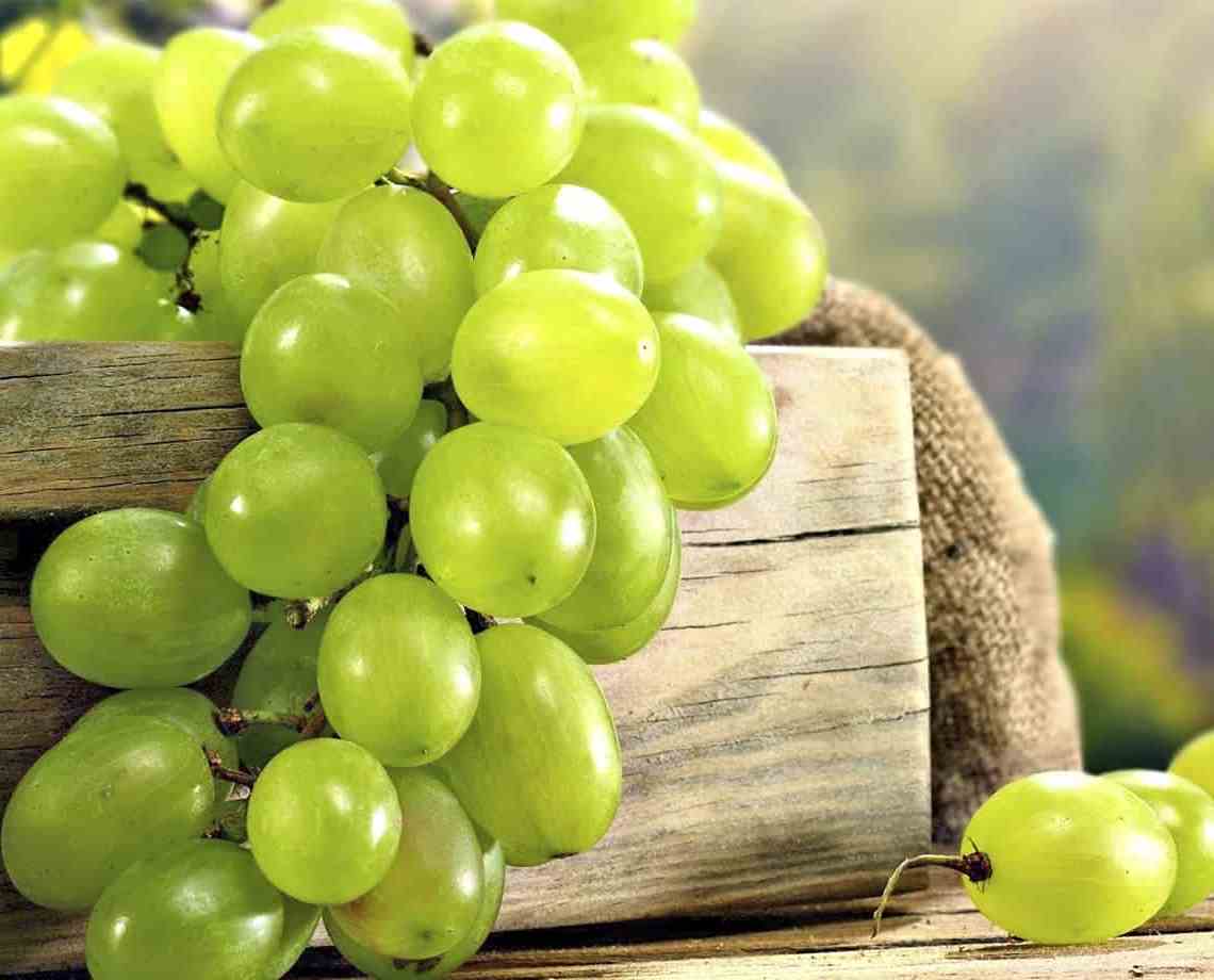 8 Benefícios Das Uvas Verdes E Por Que Você Deve Comer Todas As Semanas