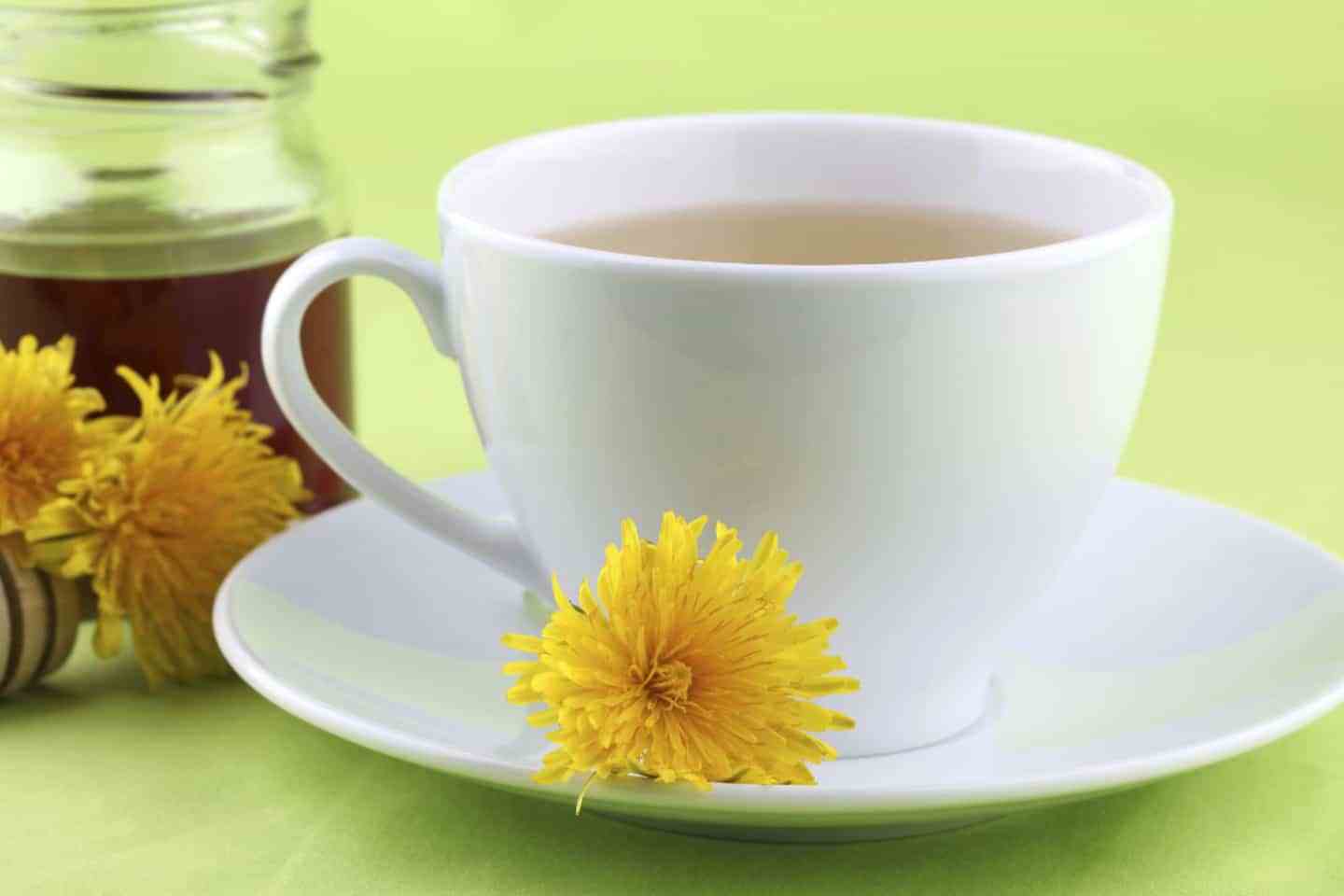 Chá Dandelion: O Que Serve, Benefícios, Efeitos Colaterais (+ Receitas)