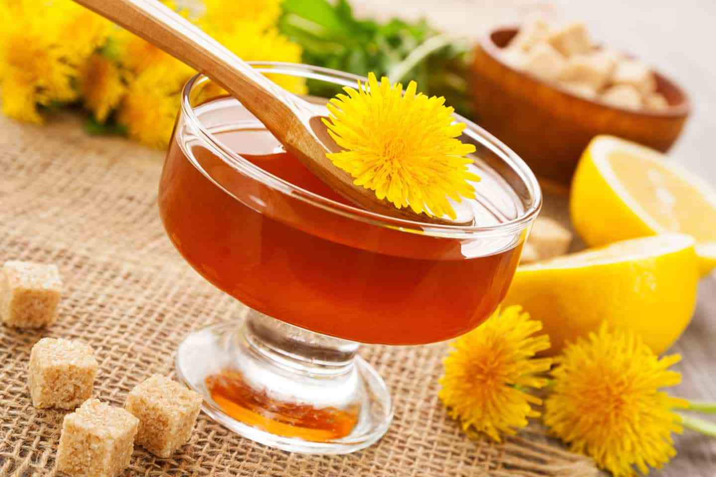 Chá Dandelion: O Que Serve, Benefícios, Efeitos Colaterais (+ Receitas)
