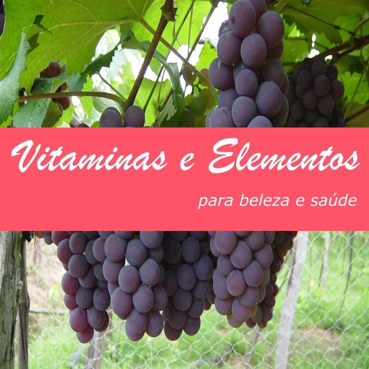 vitaminas-de-la-uva