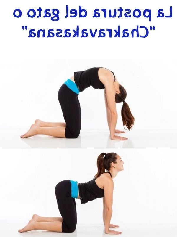 posturas-basicas-para-practicar-yoga_517