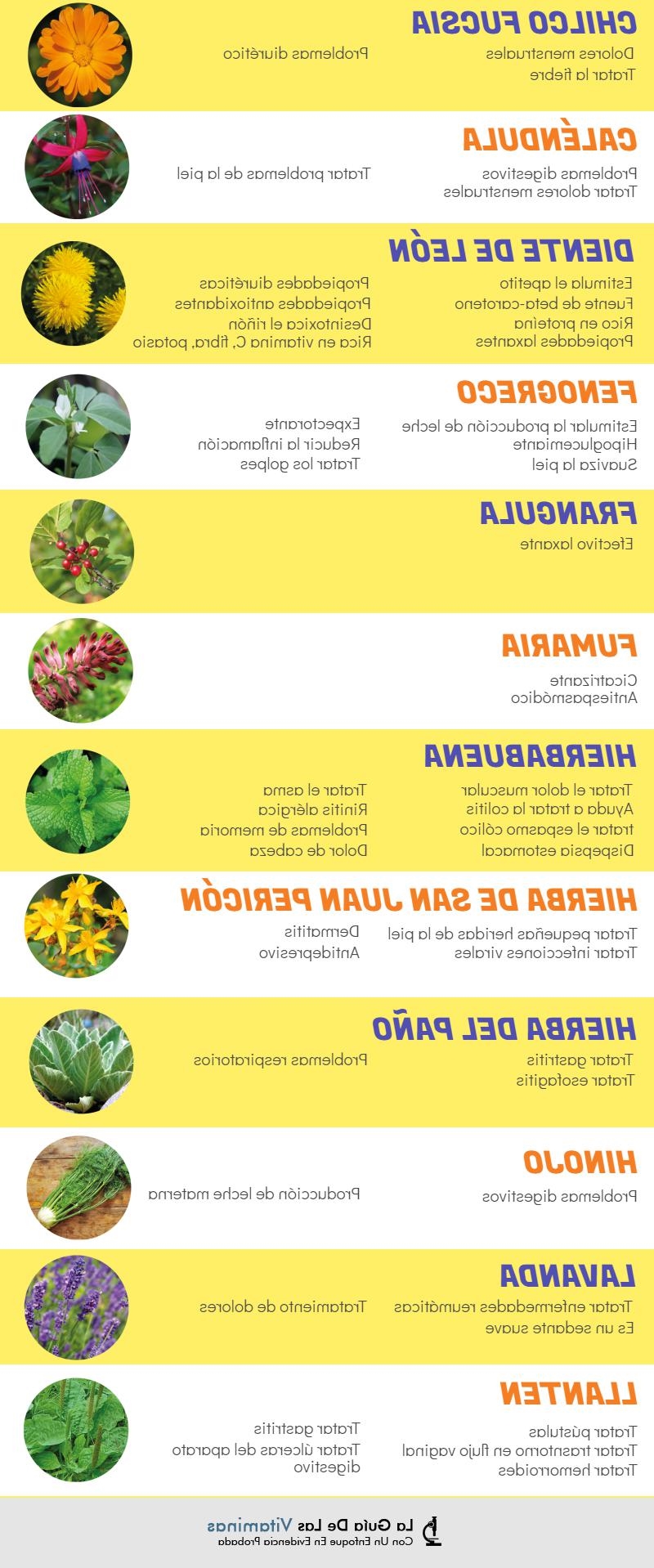42-plantas-medicinales-y-para-que-sirven_111