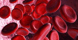 Guia Completo sobre Hemoglobina: O que Você Precisa Saber para Manter Essencial Saúde do Sangue