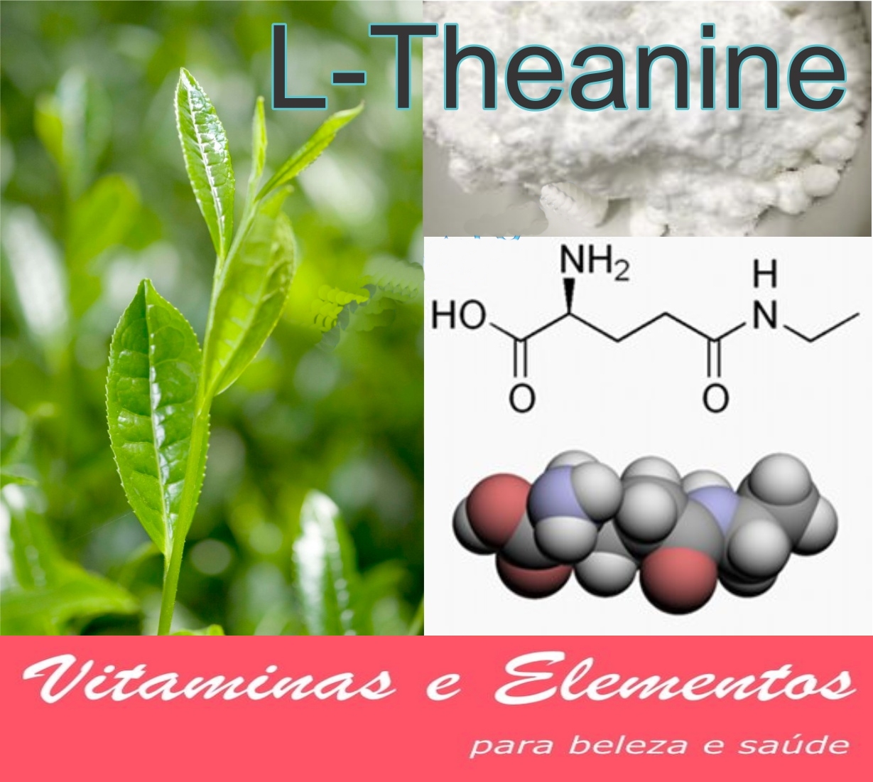 L-theanine