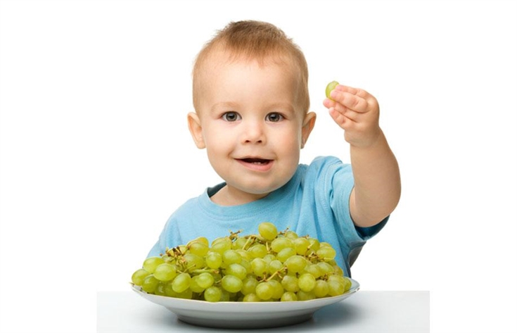 criancas-pequenas-nao-devem-comer-uvas-2