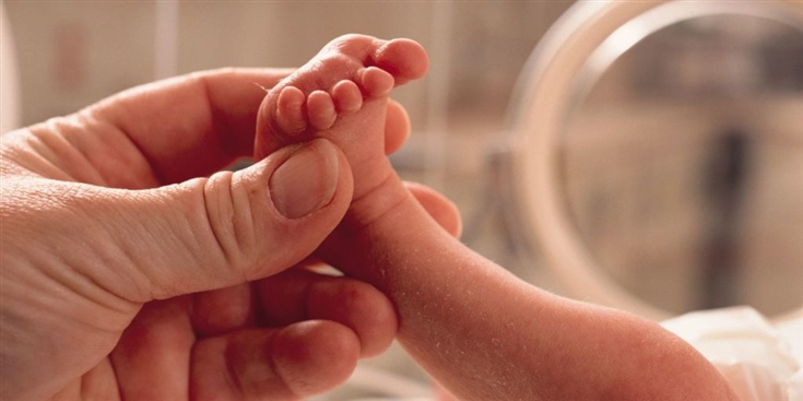 o-utero-plastico-pode-salvar-bebes-prematuros-2
