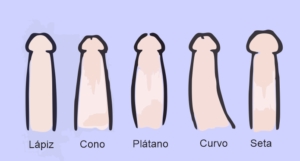 5-tipos-mais-comuns-de-penis-11