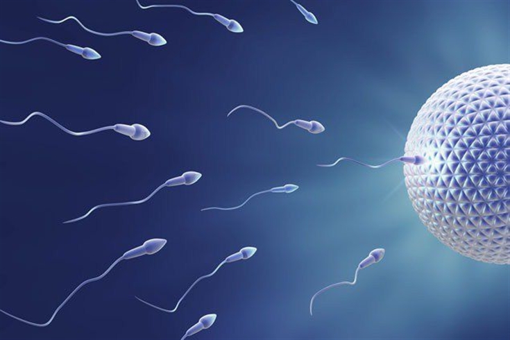 eles-criam-esperma-artificial-2