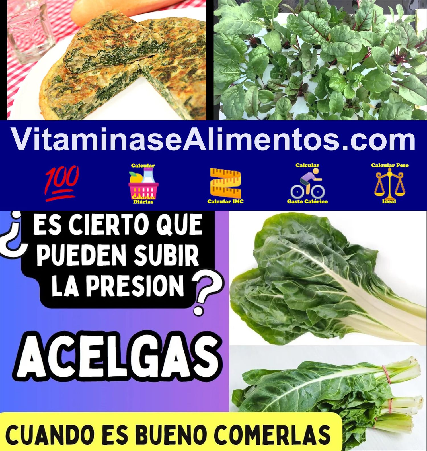 Valor Nutricional Acelga