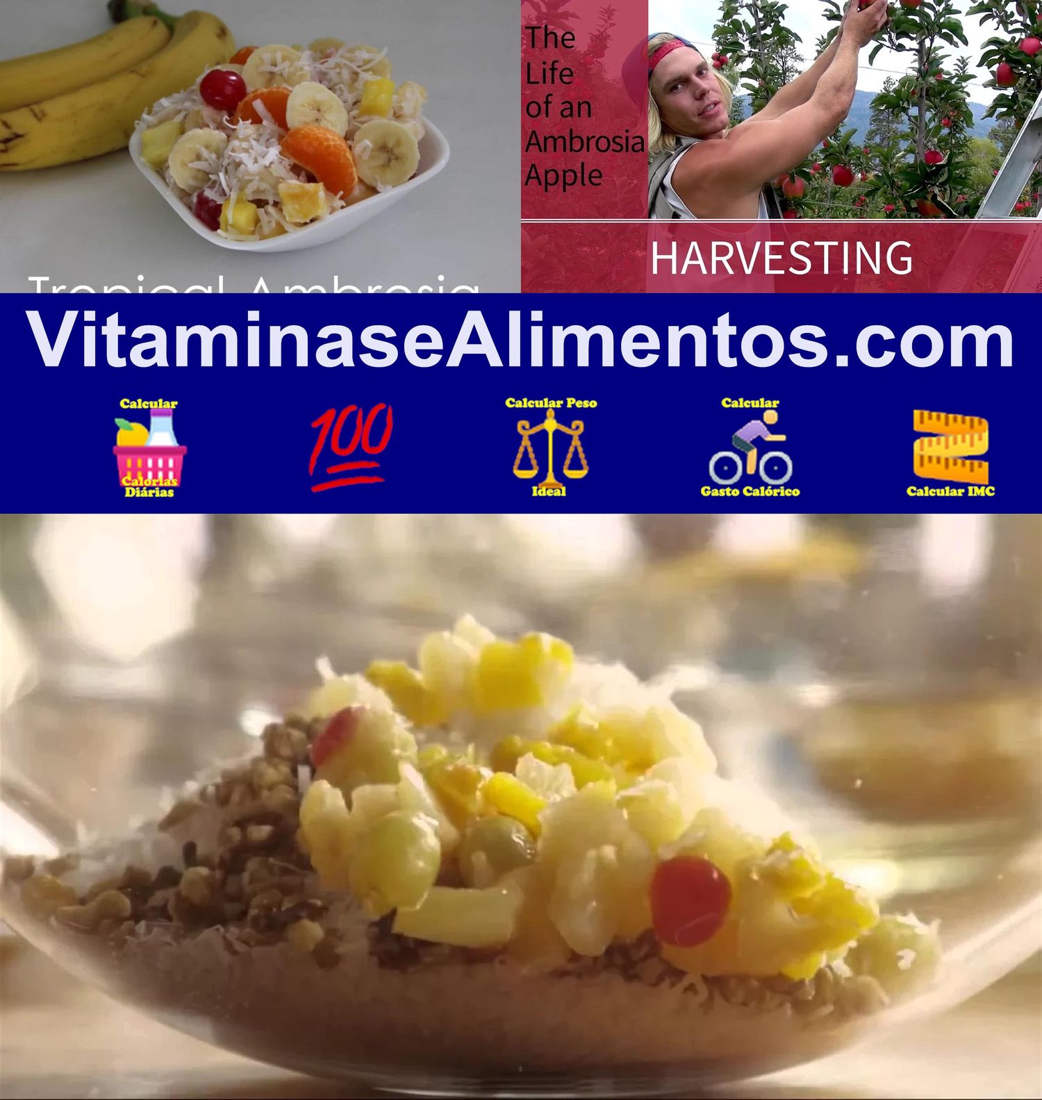 Valor Nutricional Ambrosia