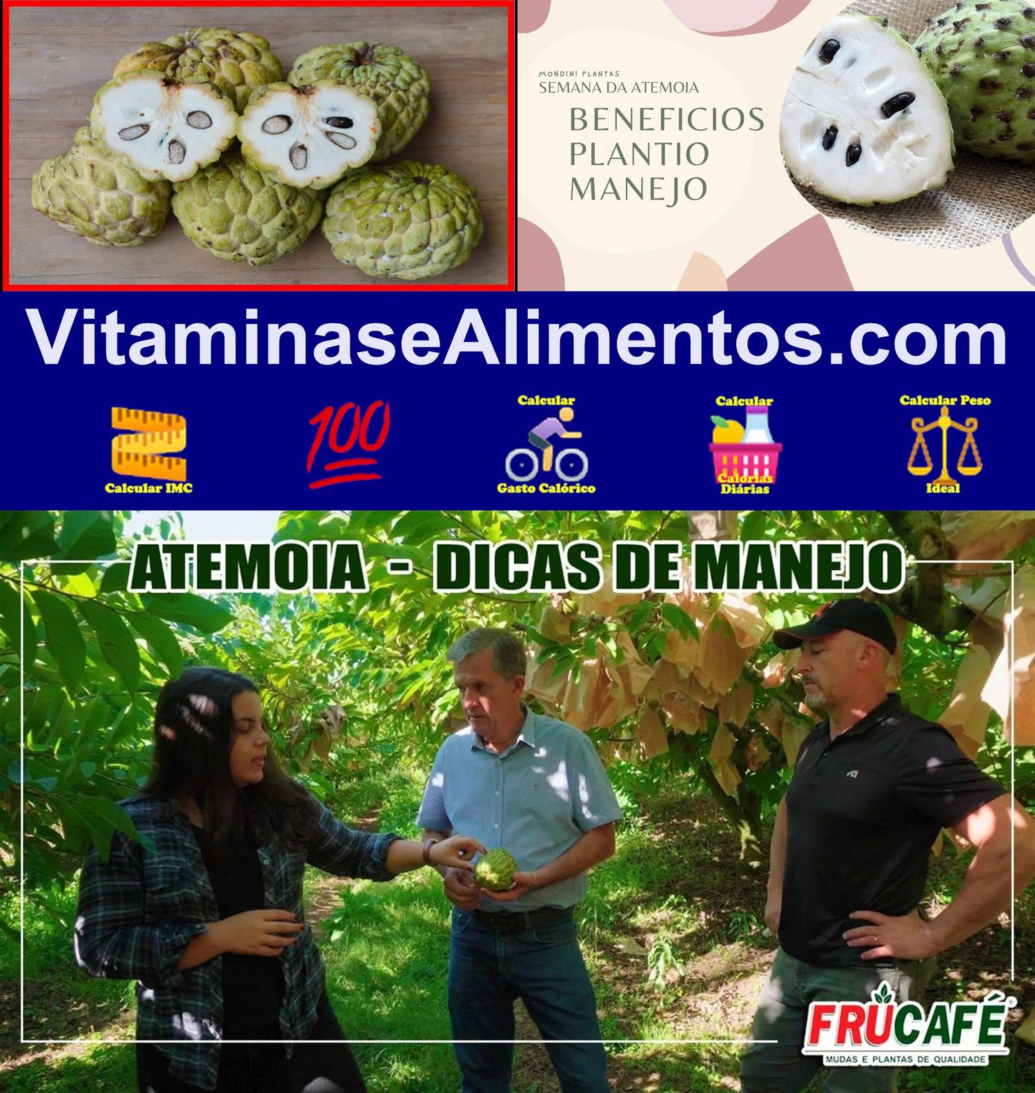 Valor Nutricional Atemoia