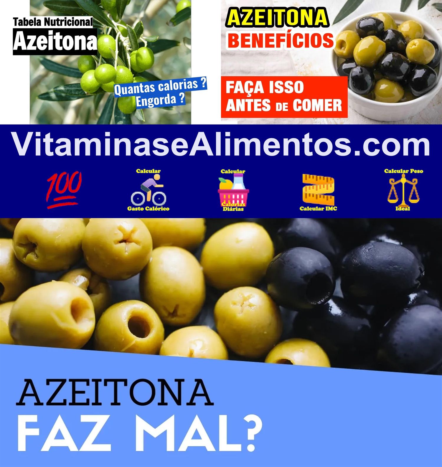 Valor Nutricional Azeitona