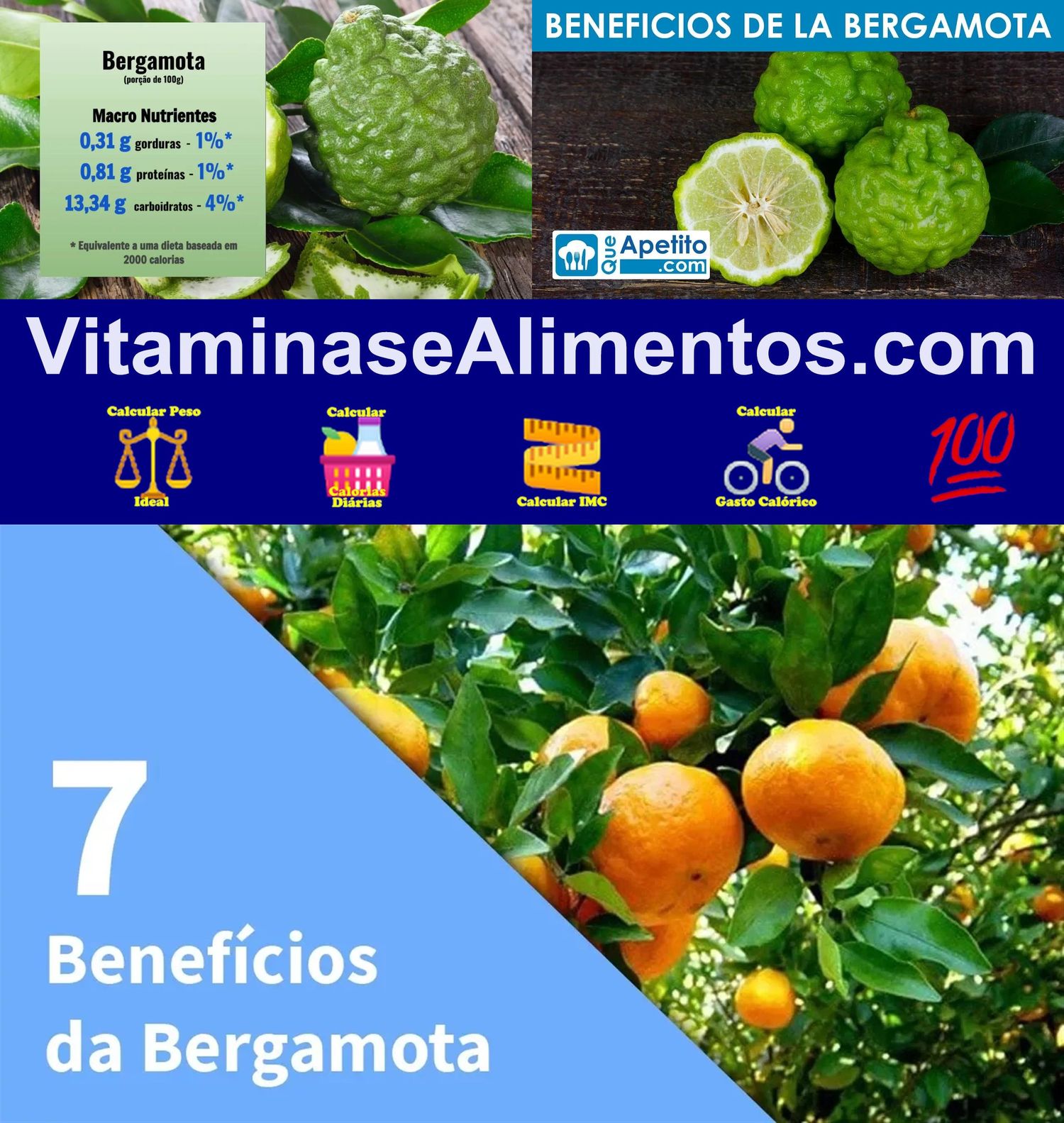 Valor Nutricional Bergamota