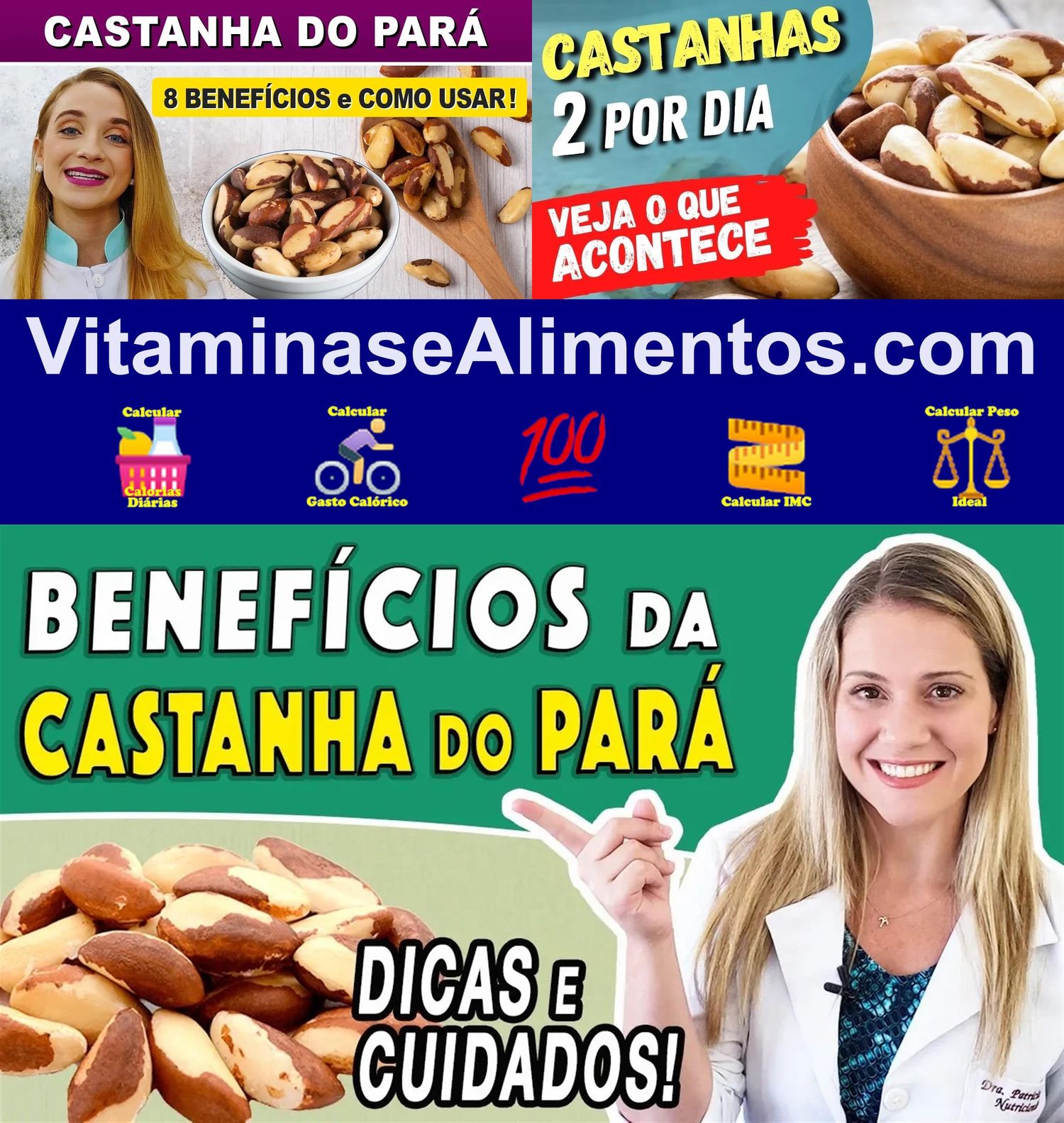 Valor Nutricional Castanha-do-pará