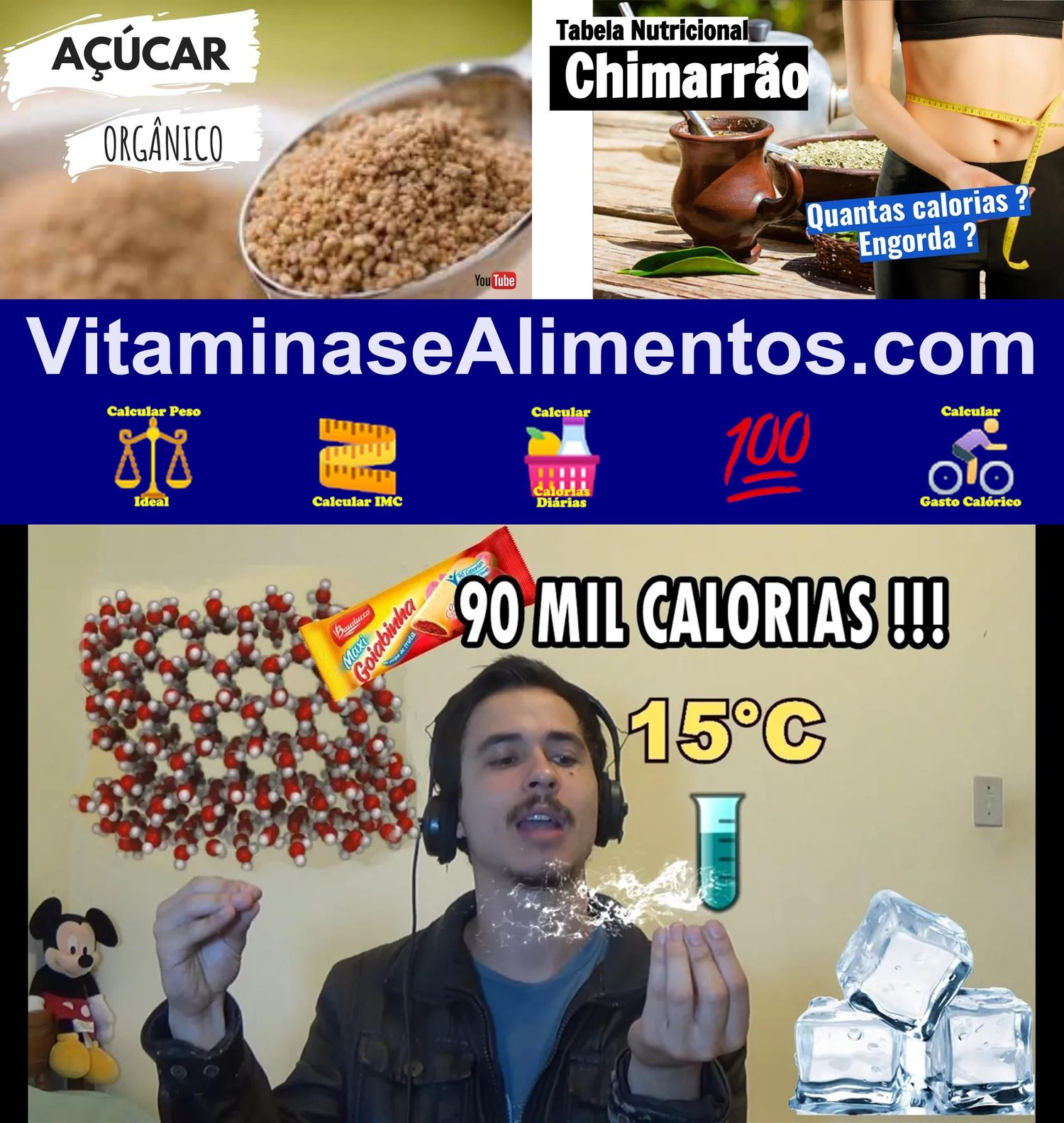 Valor Nutricional Chimarrão orgânico