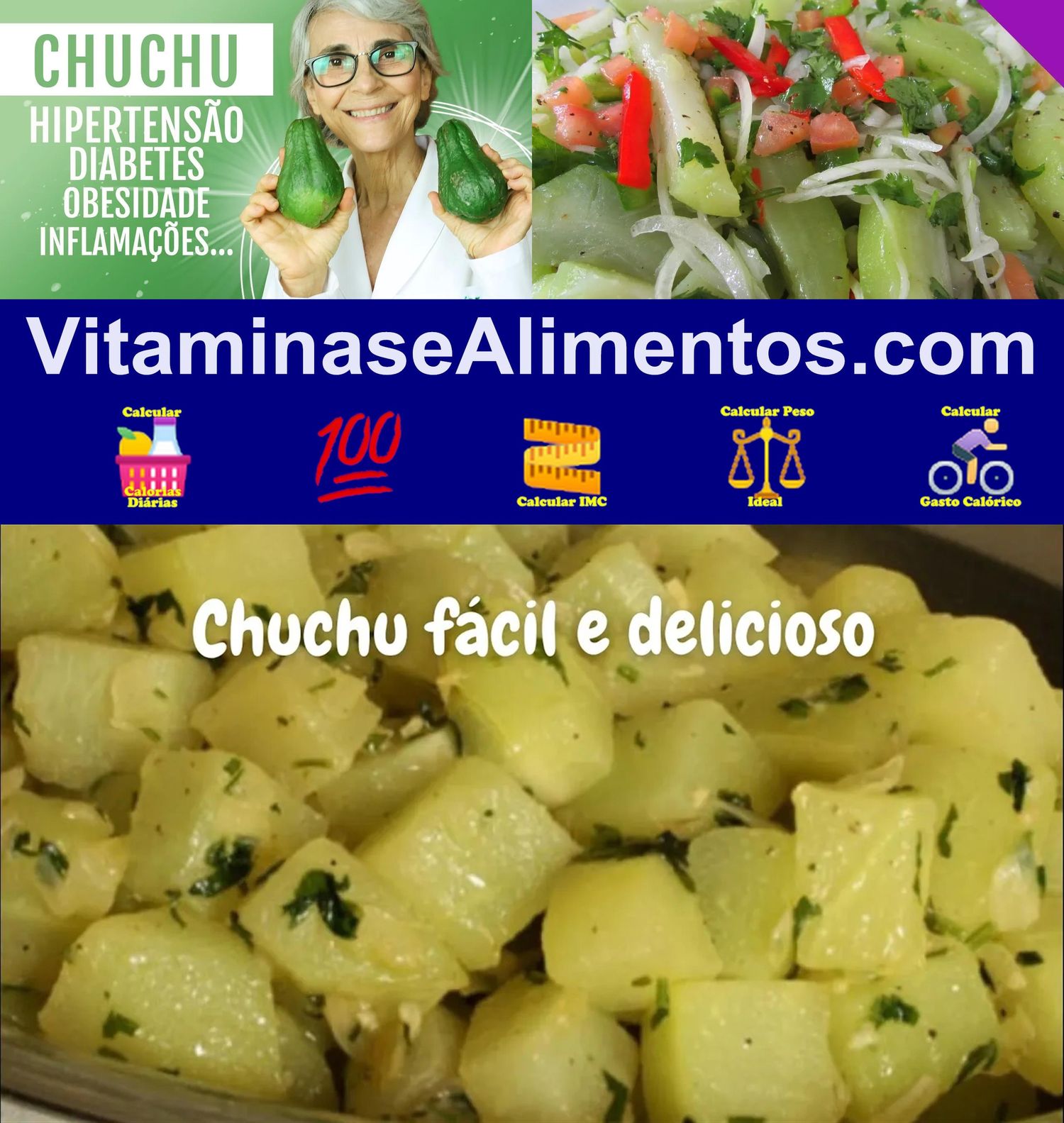 Valor Nutricional Chuchu sem casca cozido com sal drenado