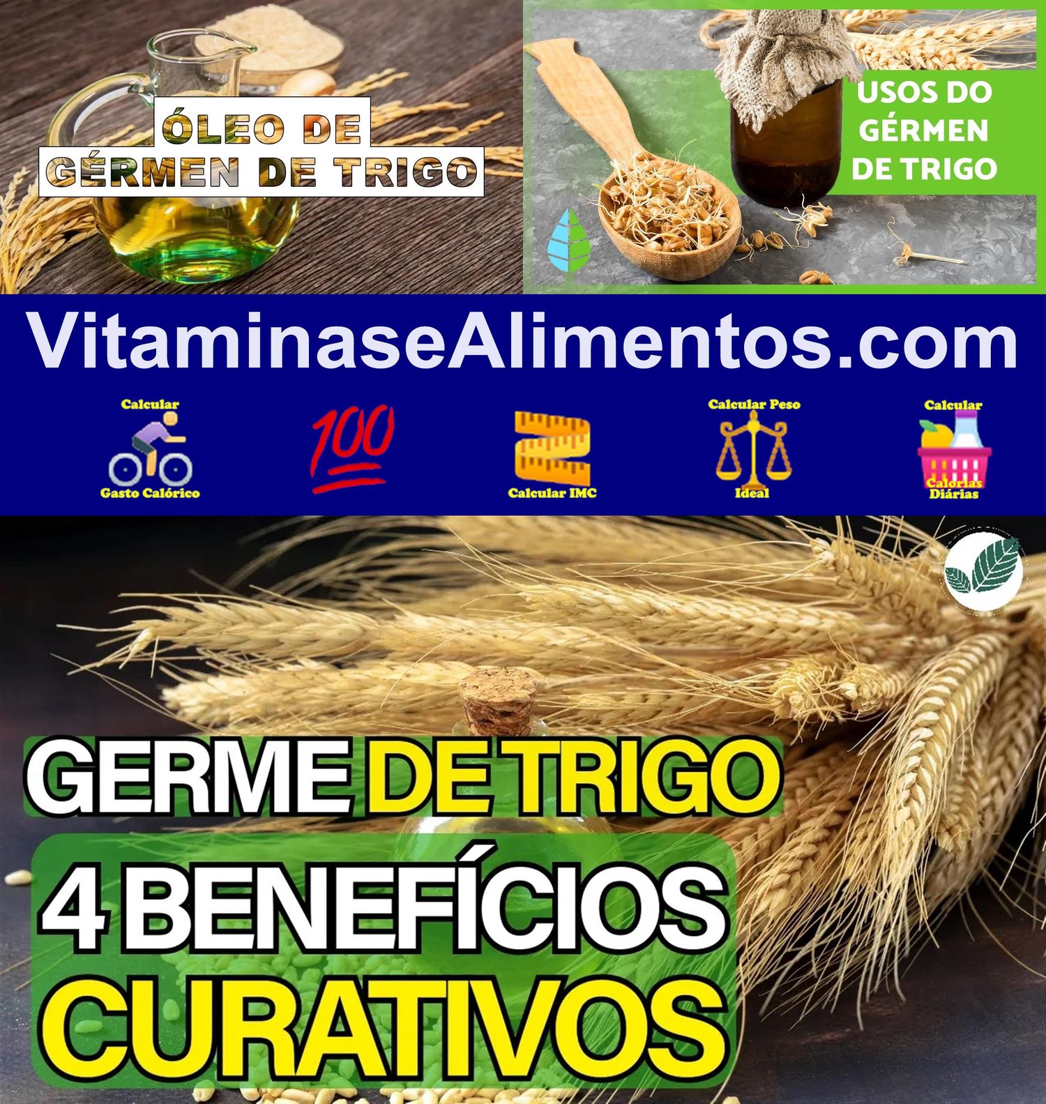 Valor Nutricional Germe de trigo