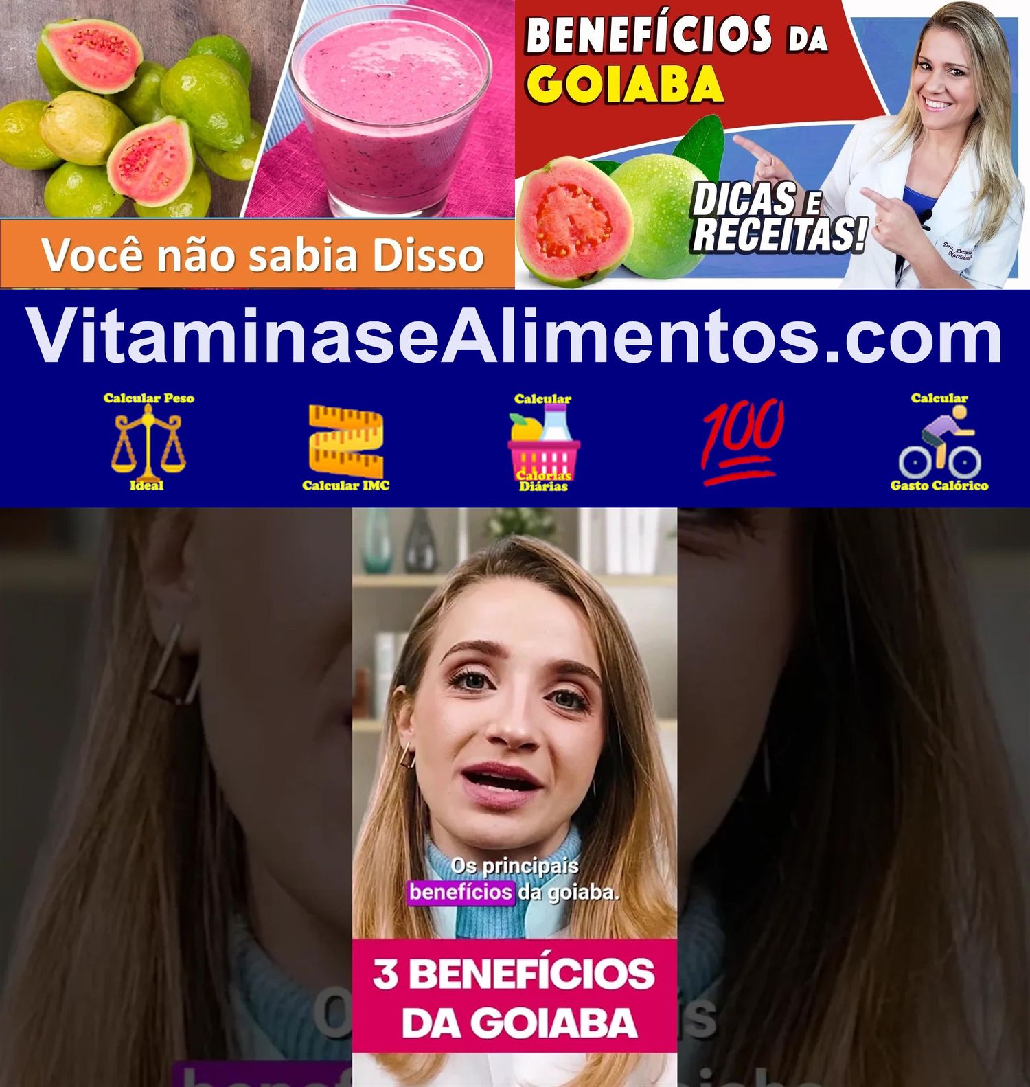 Valor Nutricional Goiaba