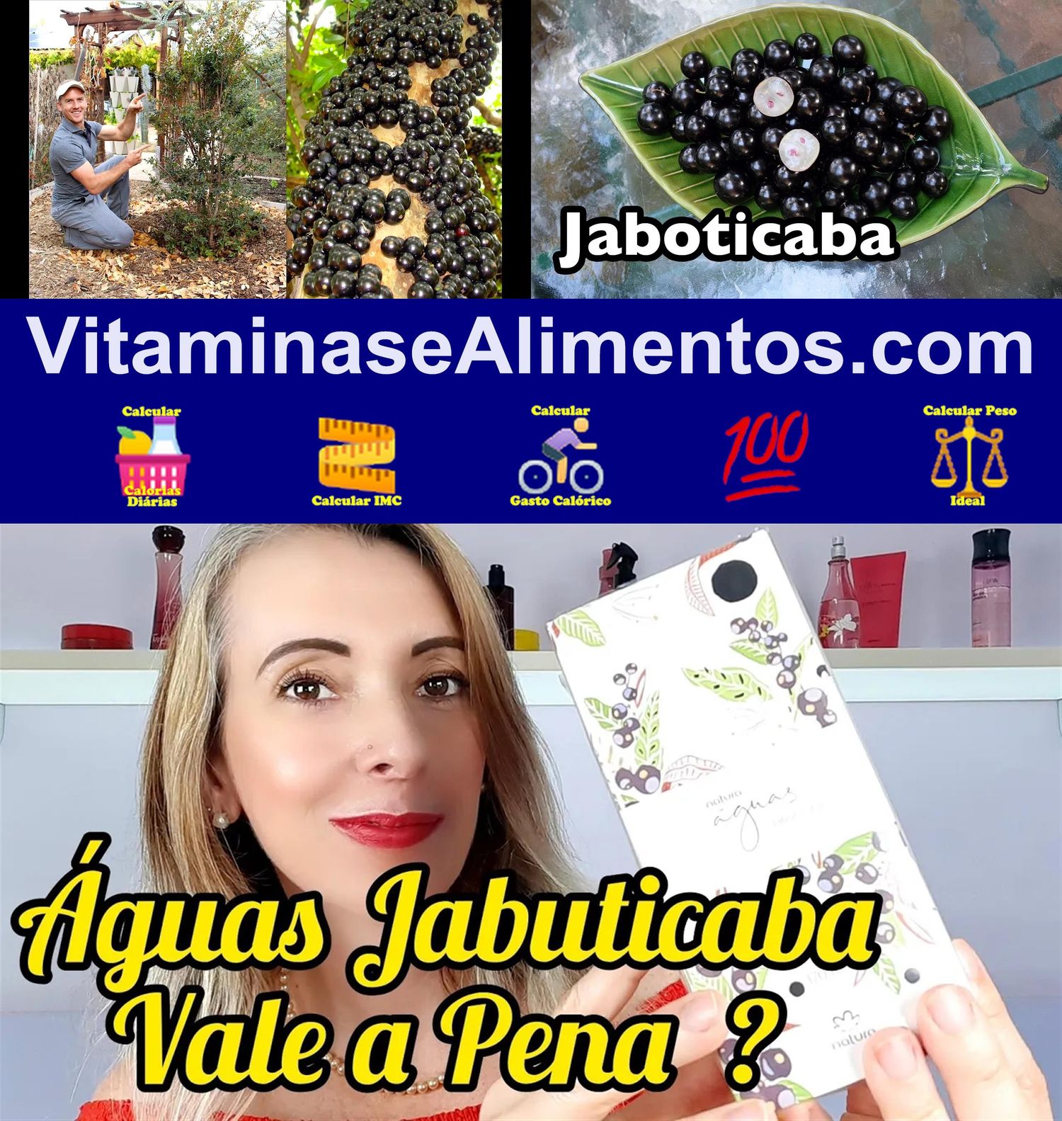 Valor Nutricional Jabuticaba in natura