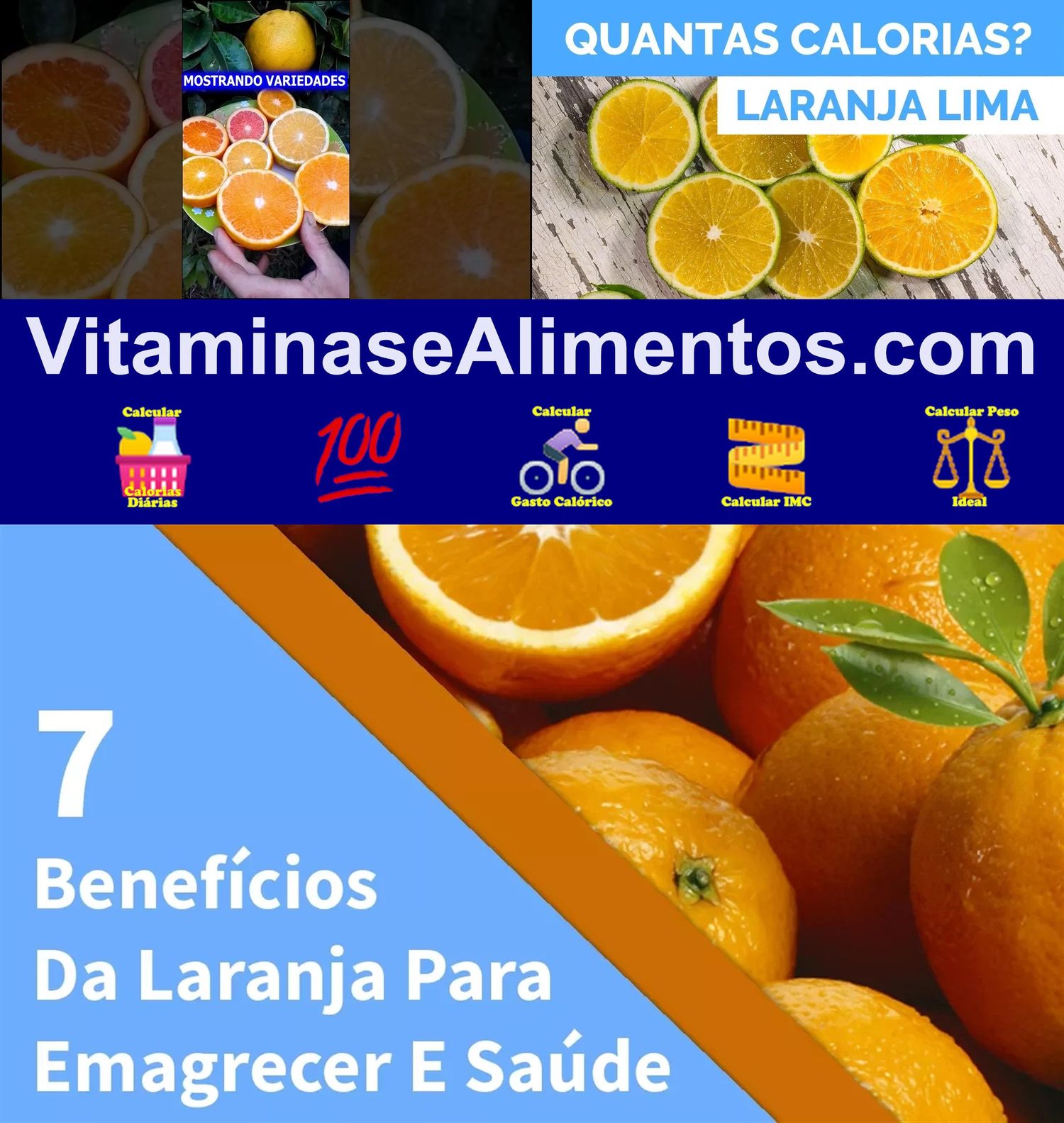 Valor Nutricional Laranja (pera, seleta, lima, da terra, etc.)