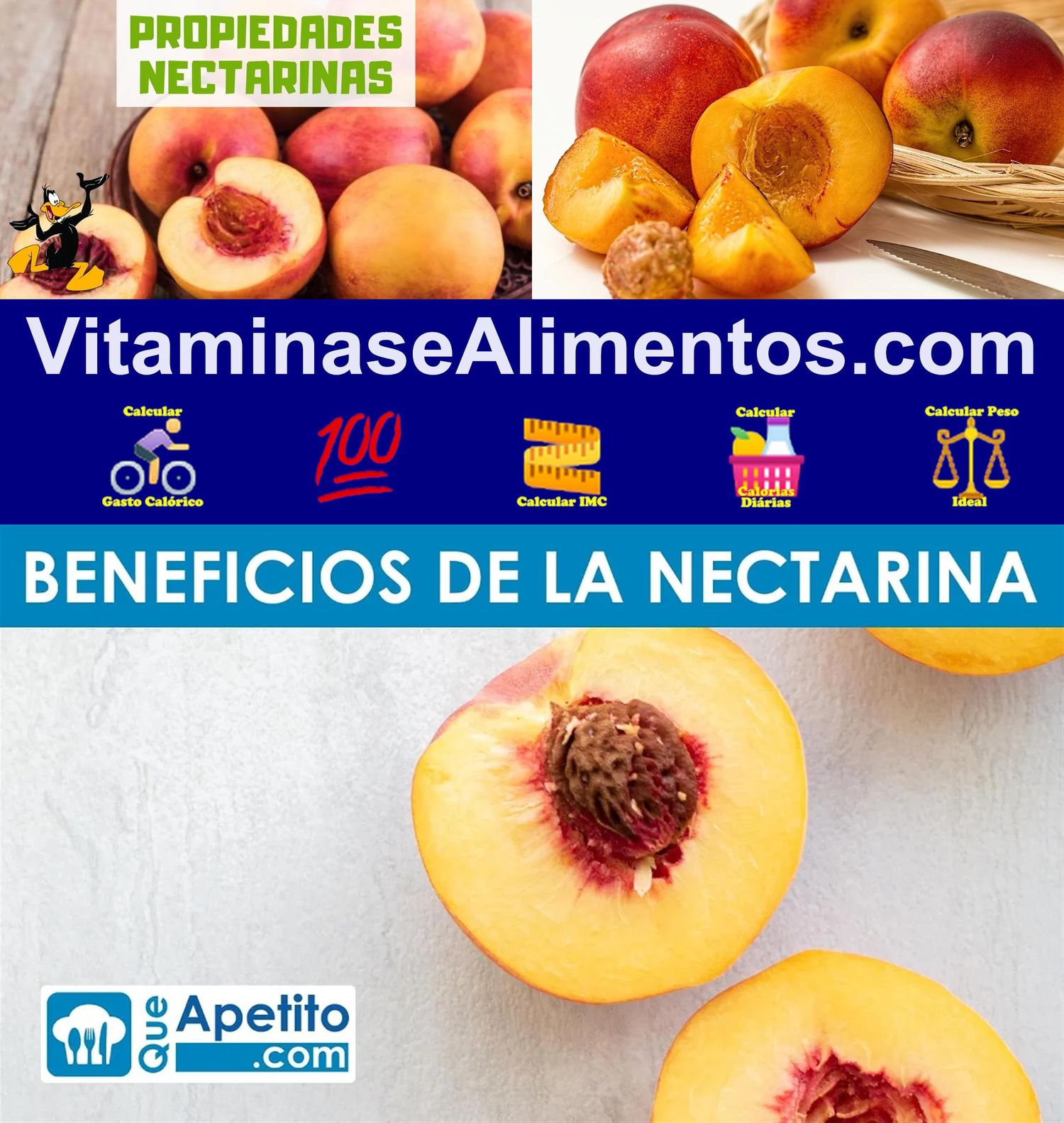 Valor Nutricional Nectarina