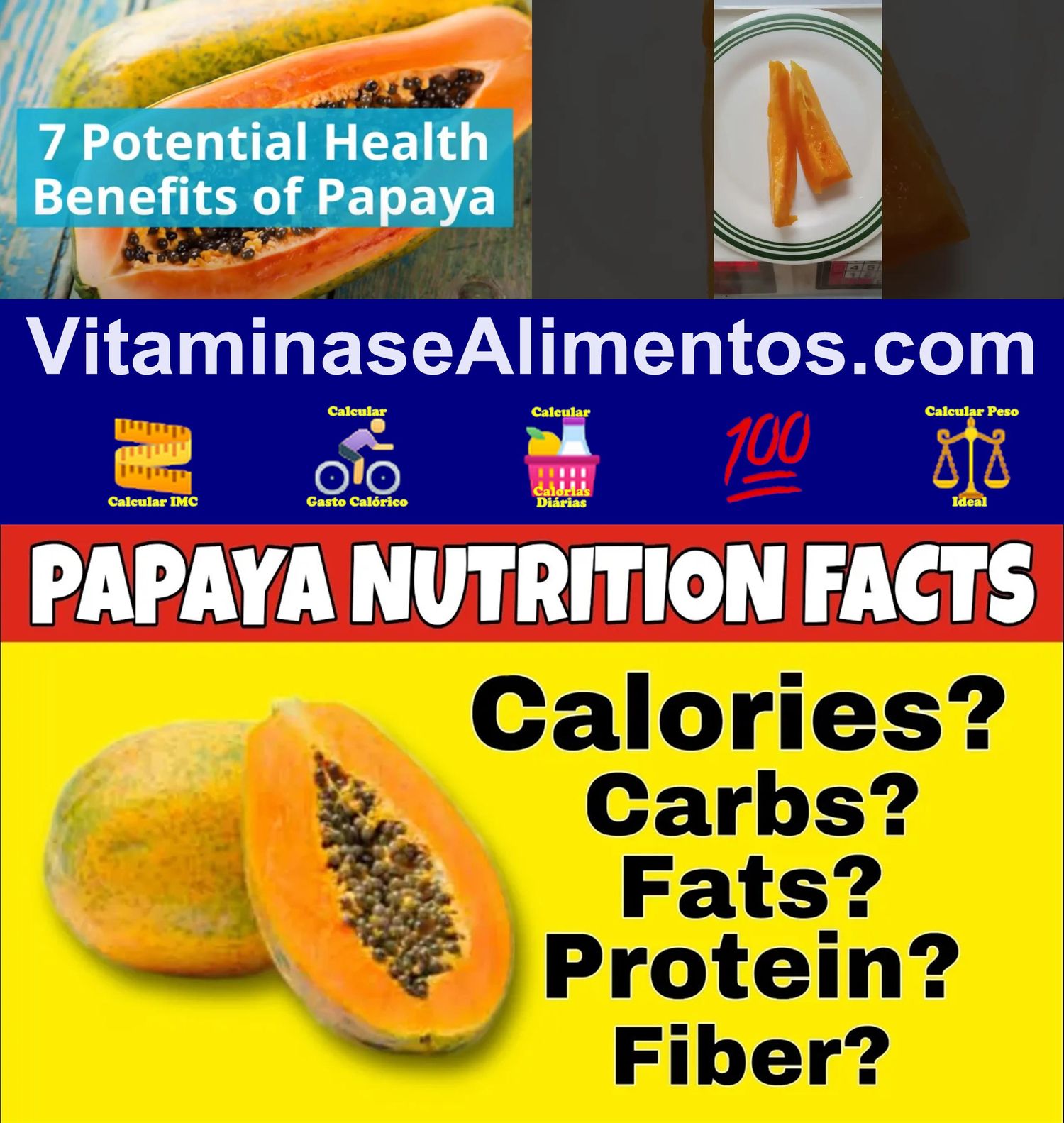 Valor Nutricional Papaia