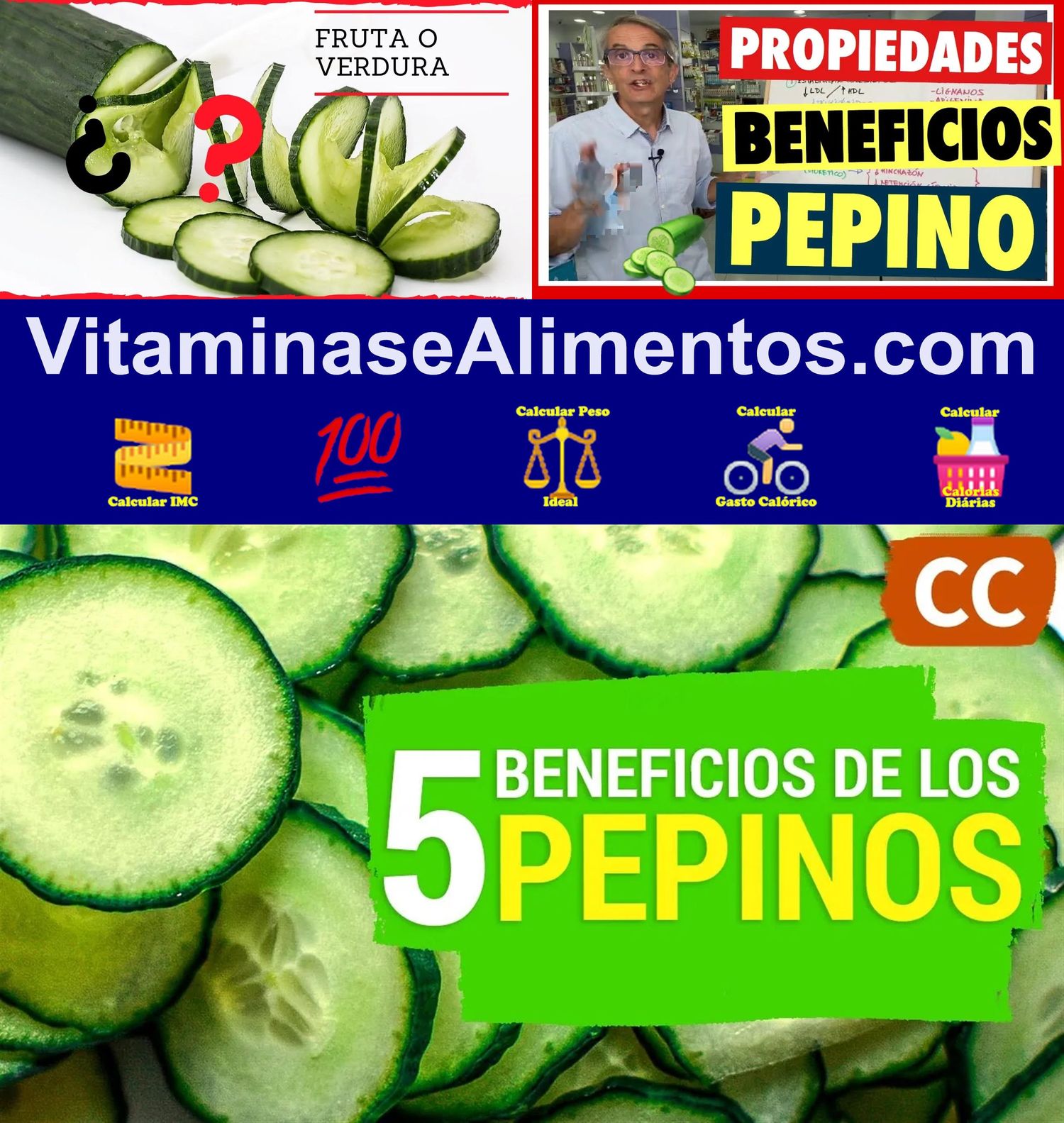 Valor Nutricional Pépino