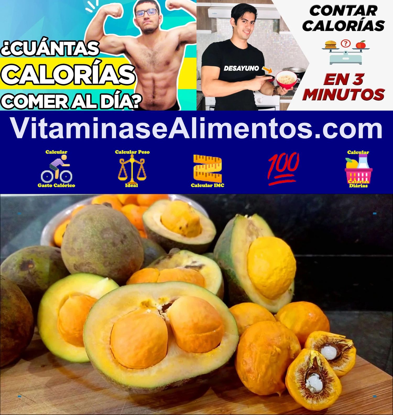 Valor Nutricional Pequi