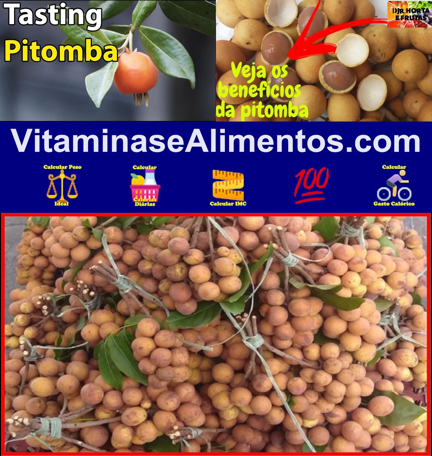 Valor Nutricional Pitomba