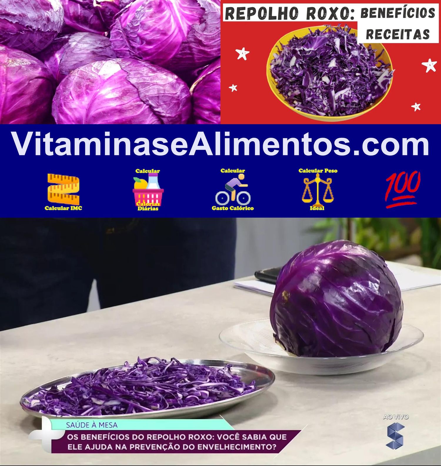 Valor Nutricional Repolho roxo cru