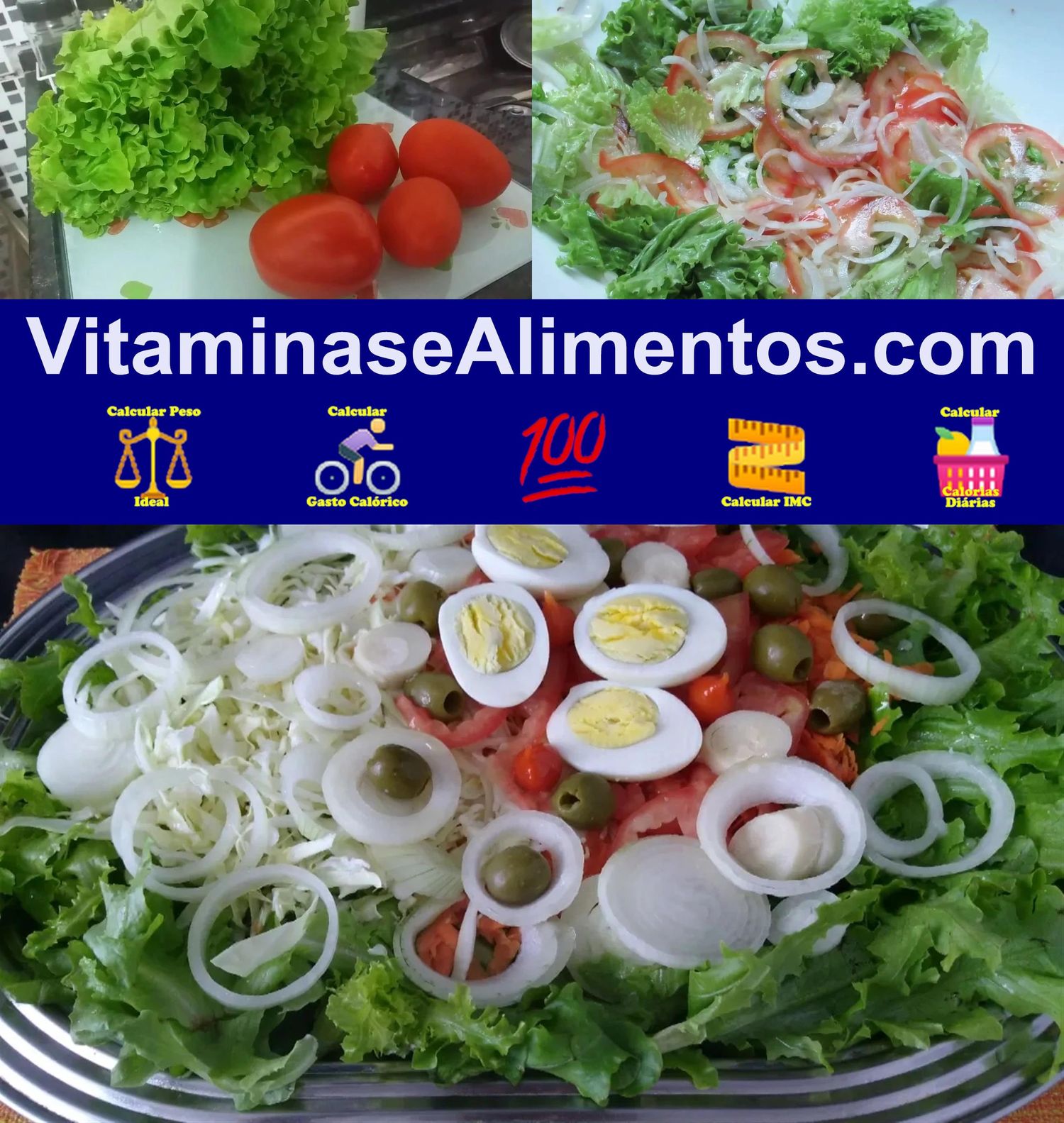 Valor Nutricional Salada vegetais crus alface tomate cebola sem tempero sem sal