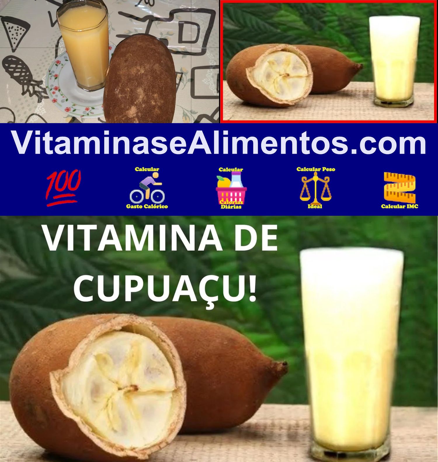 Valor Nutricional Suco de cupuaçu