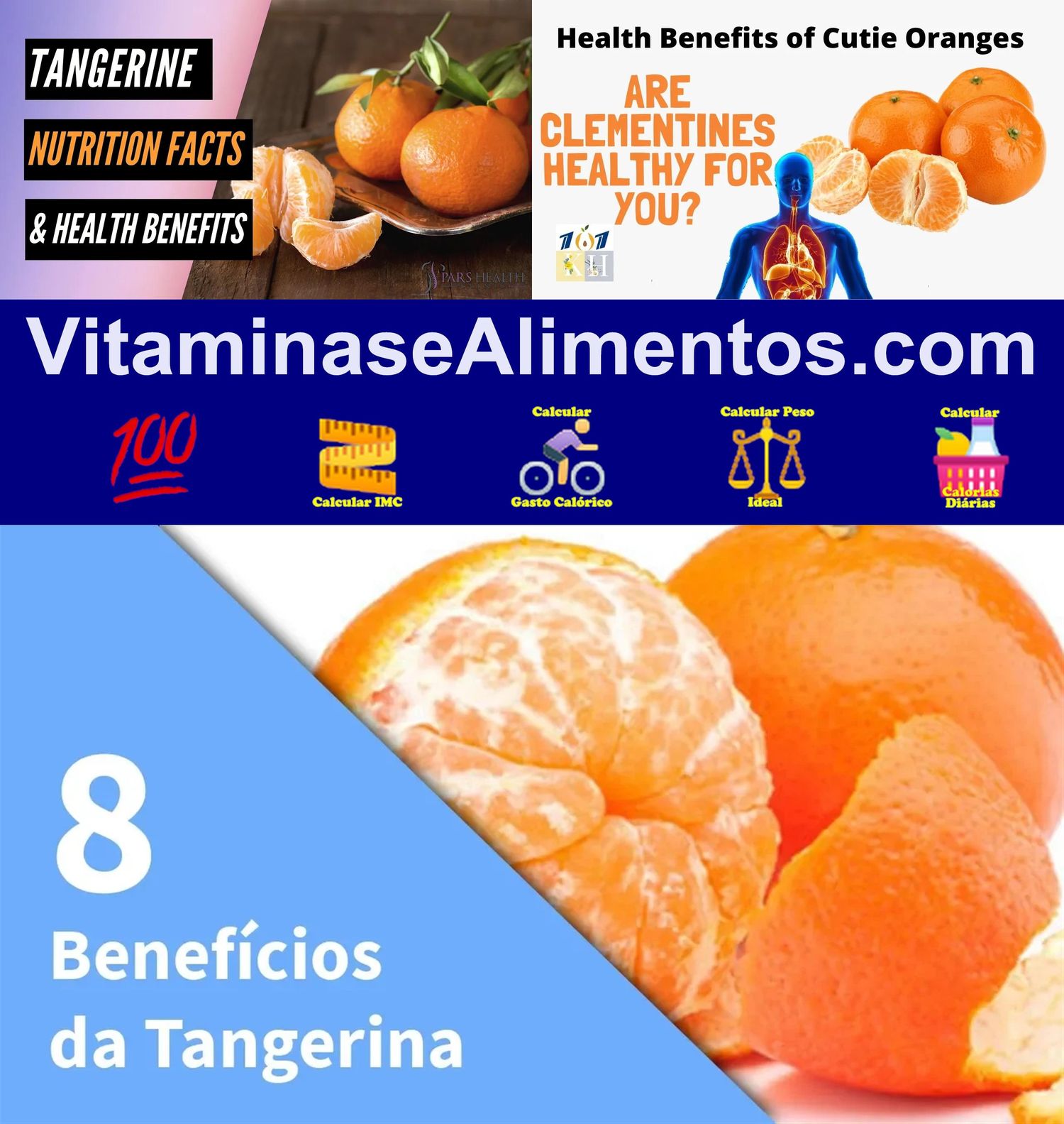 Valor Nutricional Tangerina