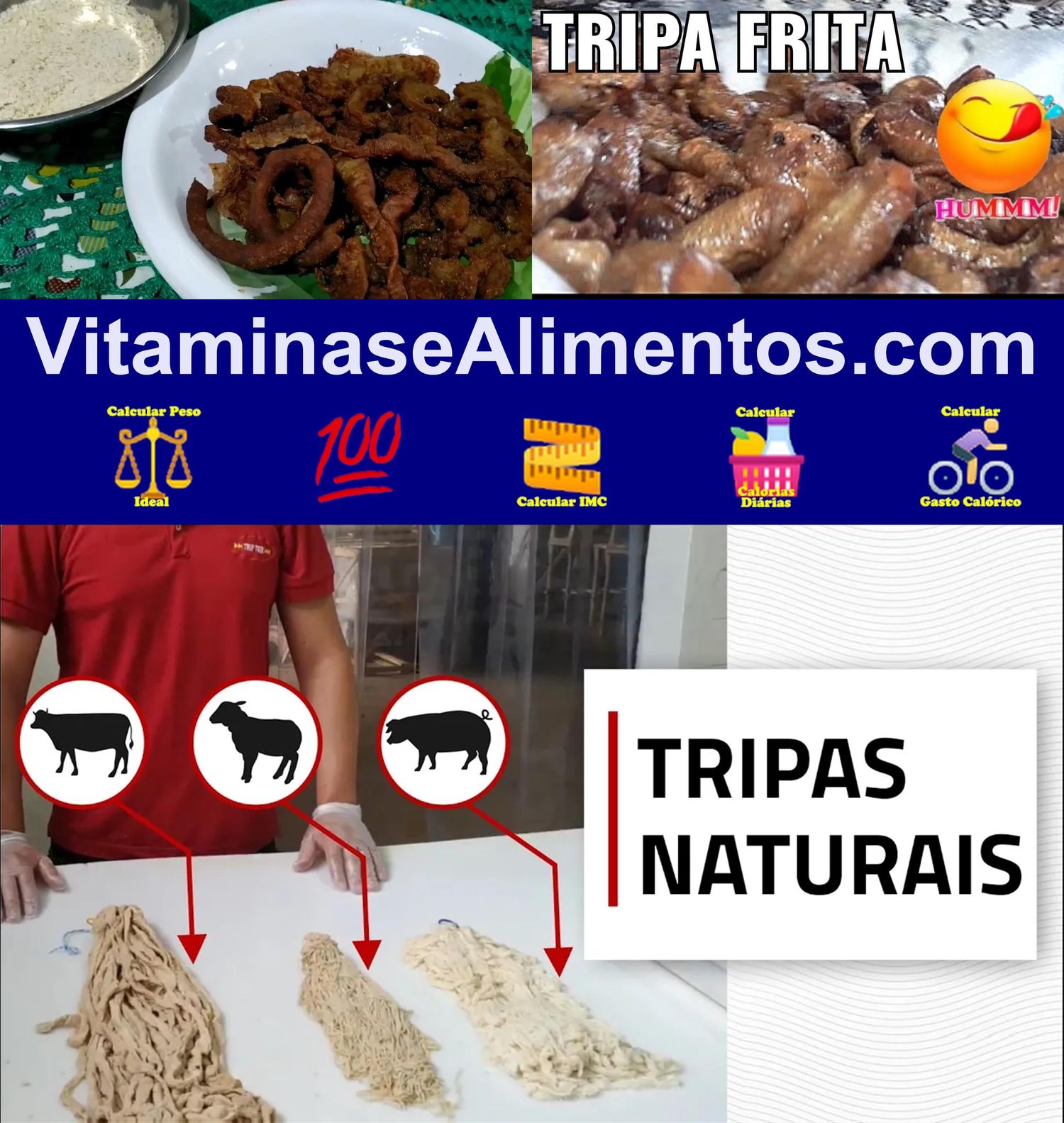 Valor Nutricional Tripa bovina frito(a)